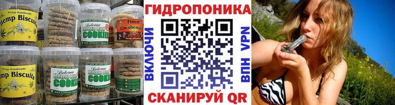 OMG ССЫЛКА  Вышний Волочёк  Еда ТГК марихуана  купить наркотики сайты 