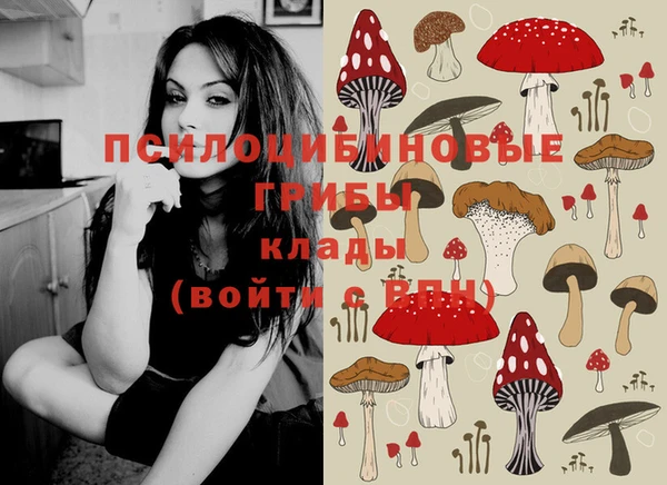 хмурый Алзамай
