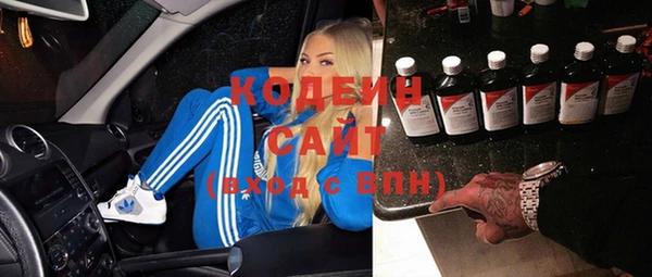 хмурый Алзамай