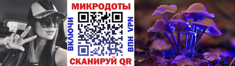 Псилоцибиновые грибы мухоморы  закладка  Вышний Волочёк 