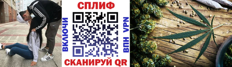 MEGA онион  Вышний Волочёк  Конопля AK-47 